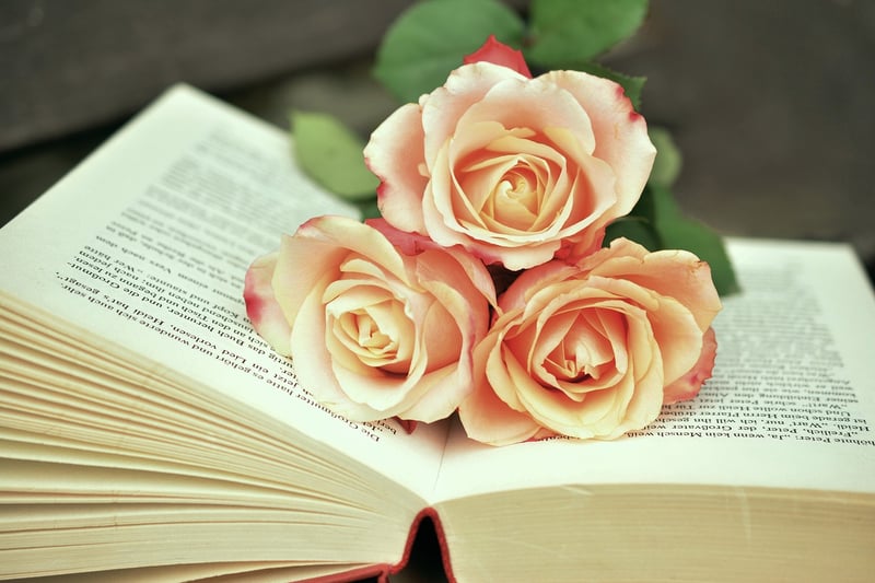 The Book Thief